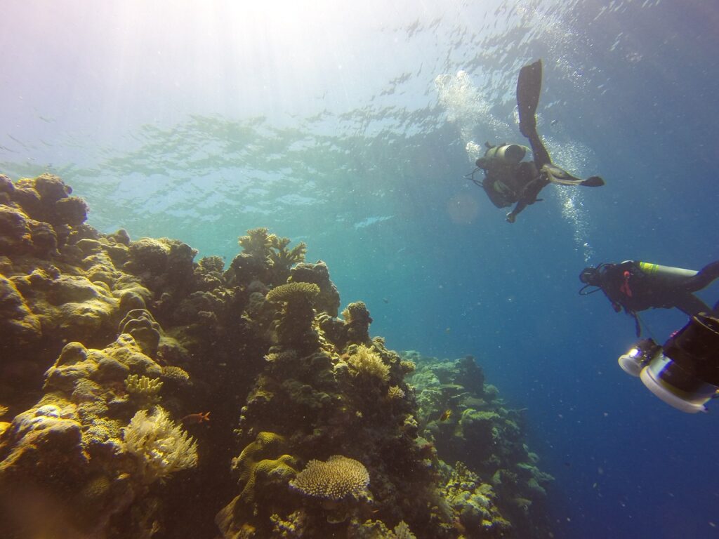 reef, diving, palau